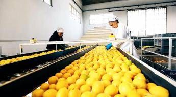 Istat: in 2° trimestre export cresce in regioni Nord-Ovest e Centro, giù Sud e Nord-Est Istat: in 2° trimestre export cresce in regioni Nord-Ovest e Centro, giù Sud e Nord-Est